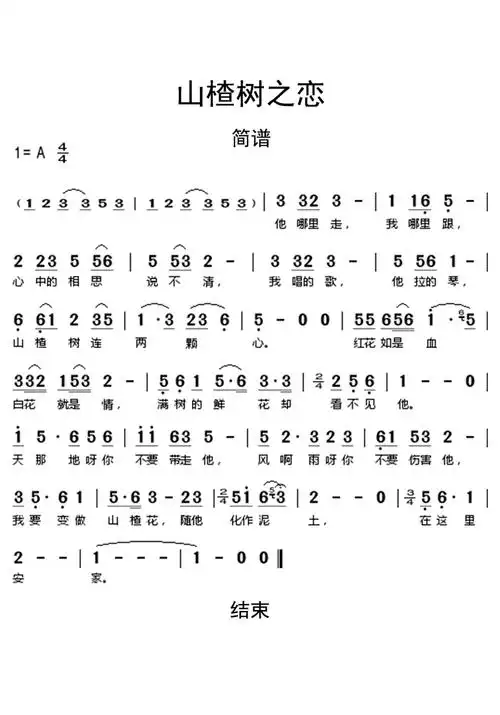 山楂树之恋歌词简谱
