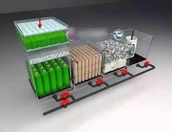 鱼缸底滤系统原理(最烧脑的过滤体系)