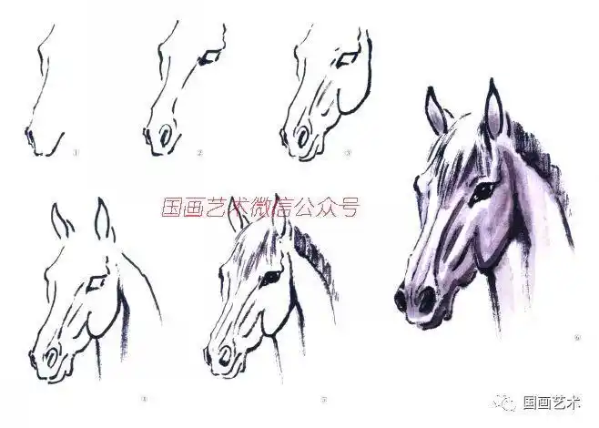 头部的画法步骤画马头应根据不同角度的造型特点采用多变的笔法,墨色