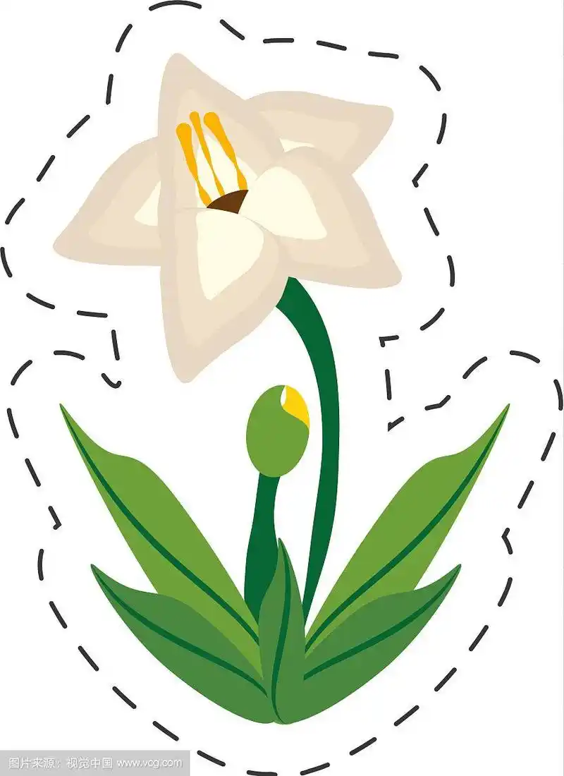 卡通剑兰花的形象