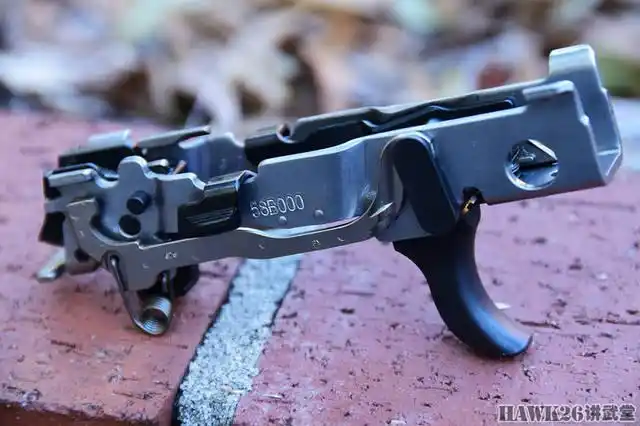 p320手枪的扳机组件源自p250手枪,请大家注意上面的编号.