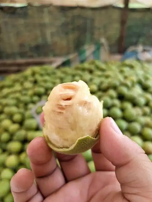 你们喜欢的富硒罗汉果上市啦