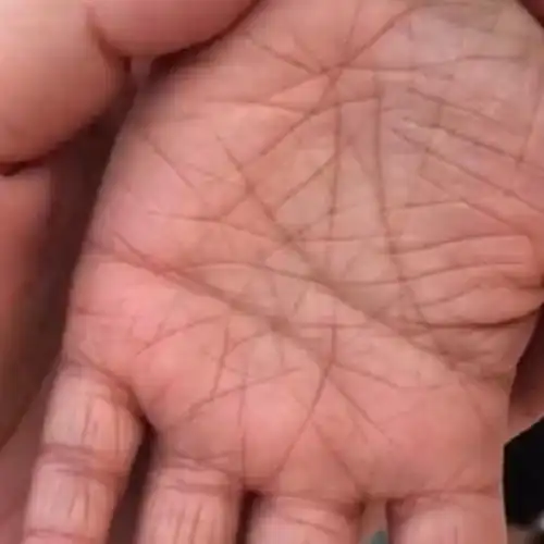 挑战全网最乱手纹,一看就知道这孩子是操劳的命,操碎了心!