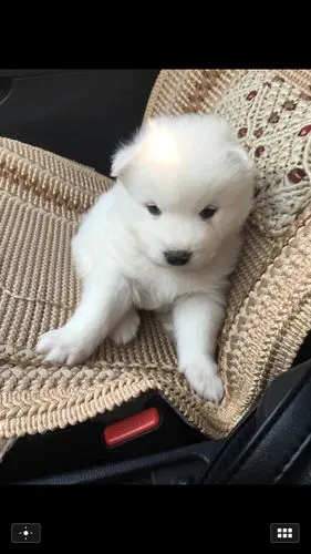 576_1024竖版 竖屏