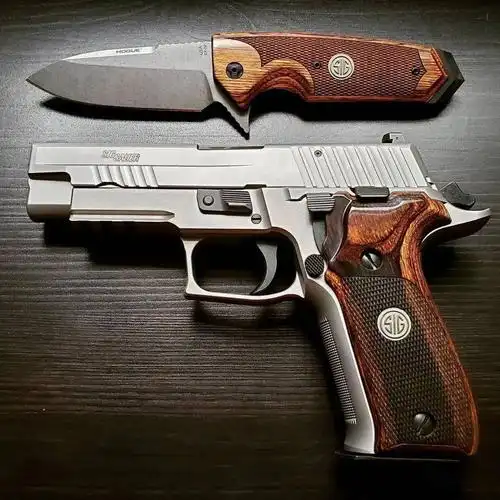 海豹专属西格绍尔公司p226手枪图集