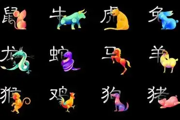 12生肖的数字是什么3