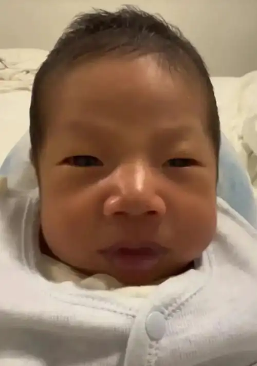 原创笑死个人撒贝宁18天的新儿子曝光小尼这下终于对上了