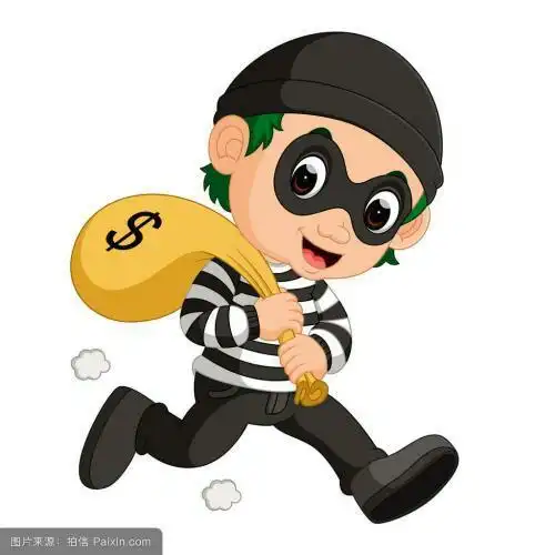 可恶的小偷