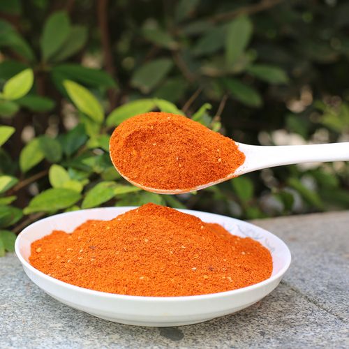 贵州特产 烙锅烧烤 炸土豆油炸食品火锅蘸料五香辣椒面250g包邮