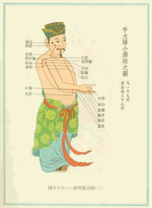 我们的胳膊外侧有三条阳经,分别是手阳明大肠经,手太阳小肠经和手少阳