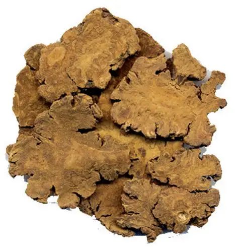 中医 中药大全 活血化瘀药 川芎 我们知道很多的中药都是可以炖汤的