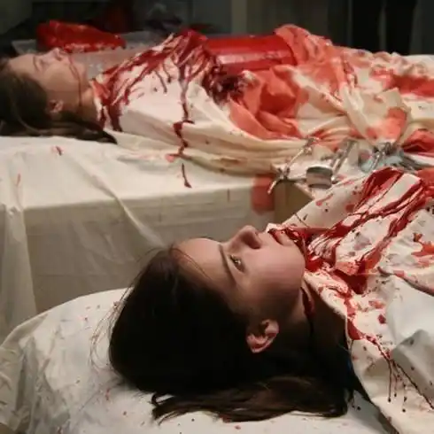 11. human centipede (first sequence)/人体蜈蚣 (2009)