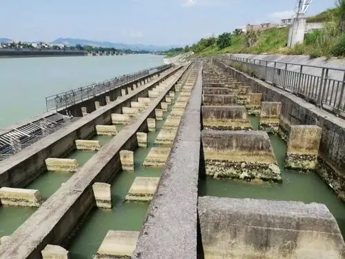 【独家重磅推荐】:鱼道的故事_监测