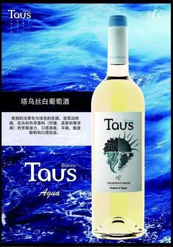 其它 我的美篇 欢迎您随时来德州广电品尝葡萄酒,了解其背后的西班牙