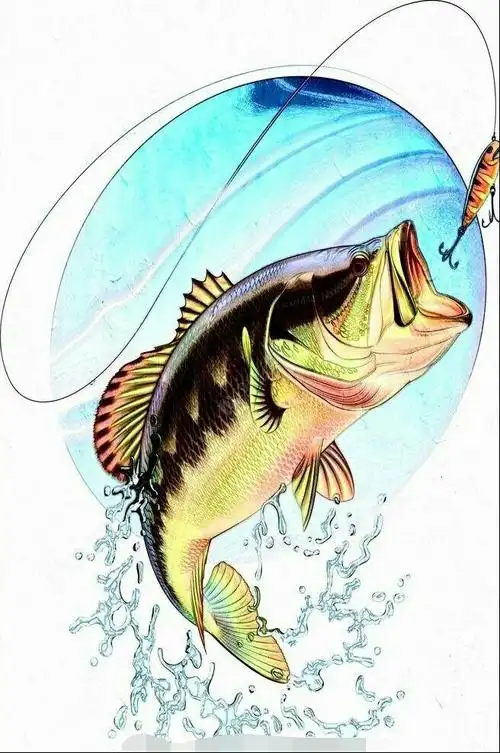 路亚黑坑如有效打中滑口鲈鱼――个人小经验