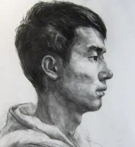 素描头像全侧结构分析