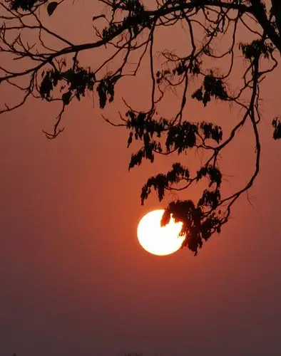 傍晚好景色,夕阳欲增辉!