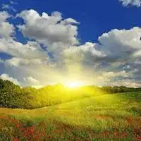 美丽的大草原阳光风景头像点击鼠标右键下载