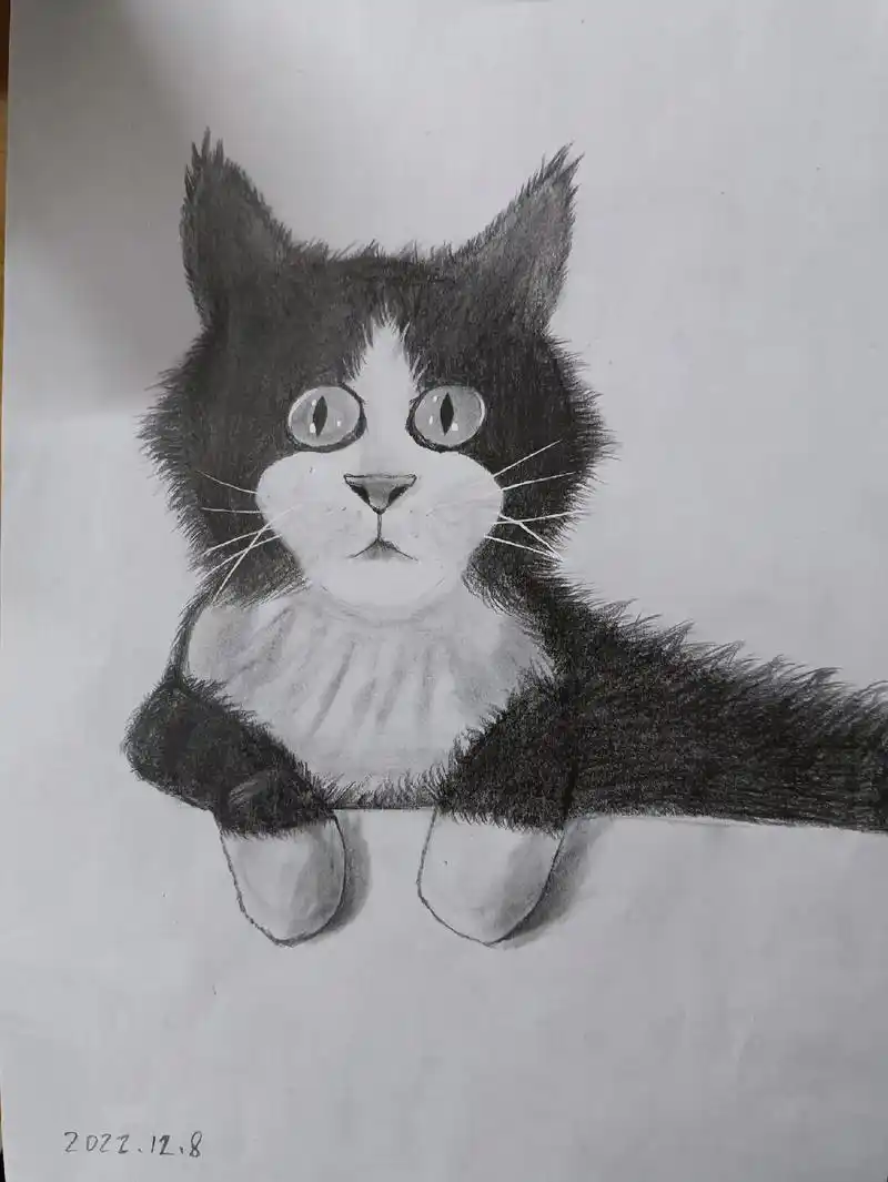 随便画画,哈哈哈#素描 #简笔画 #素描动物#画画  - 抖音