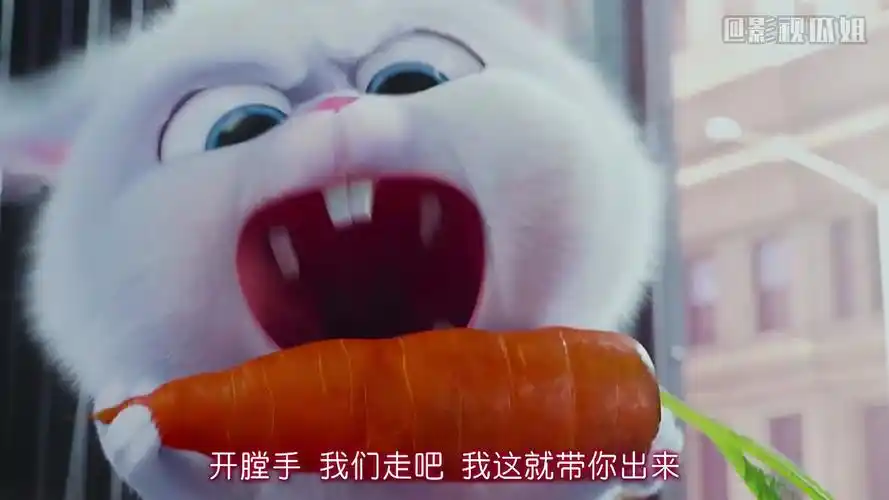 【爱宠大机密】可爱又迷人的大反派 —— 兔老大反差萌合集大放送