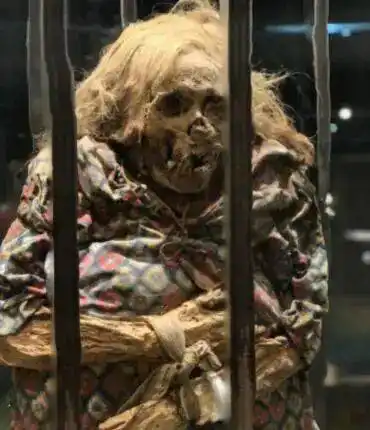 猎奇美术馆女巫尸体遭铁炼栓百年被风干成木乃伊