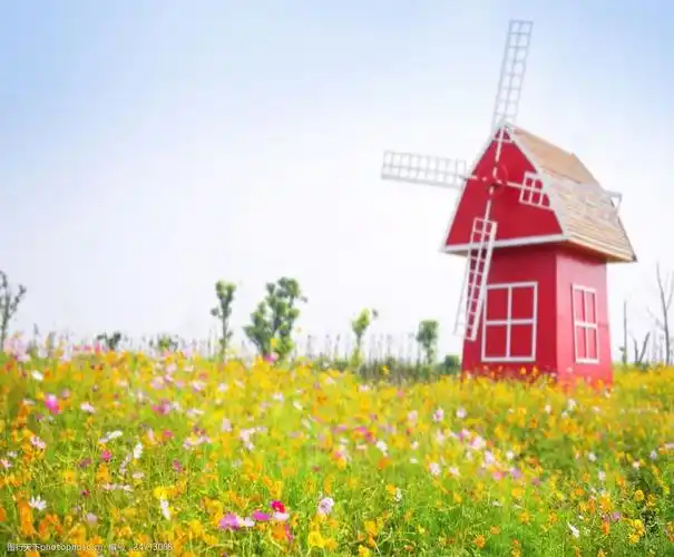 设计图库 高清素材 背景素材 关键词:鲜花草地与风车屋影楼摄影背景