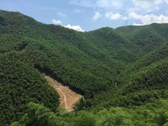 安吉十大景点(安吉十大旅游景点)