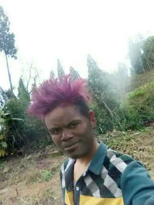 杀马特表情包合集史上最全版