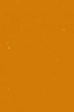 黄色背景高清图片