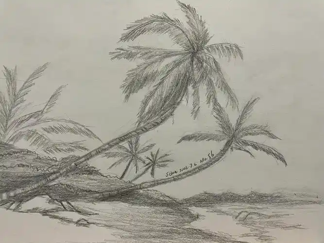 零基础学画画no56海边椰林