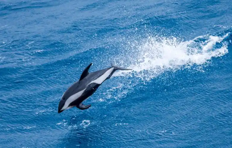 难忘的南极之旅