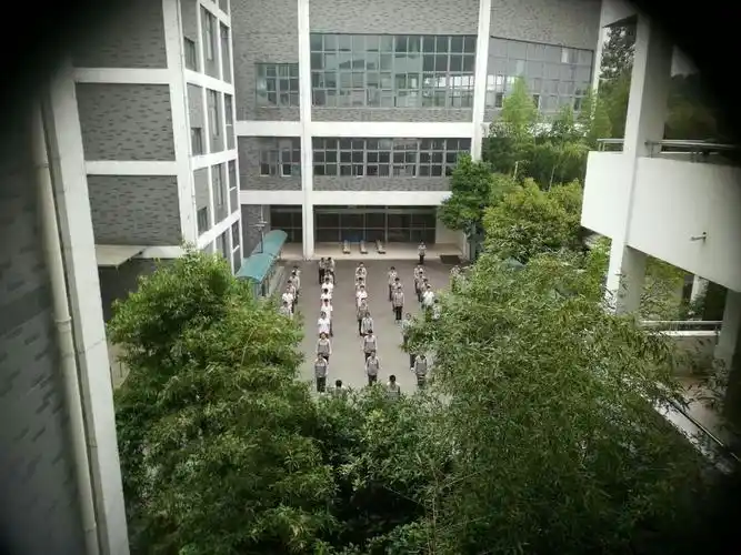 跟岗实践三 : unit 8 pets reading 1 扬州市梅苑双语学校 程思靓