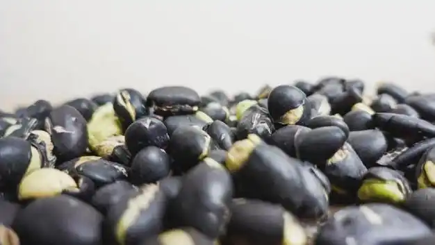 这种豆不起眼,却是"补血养肾"的宝贝!