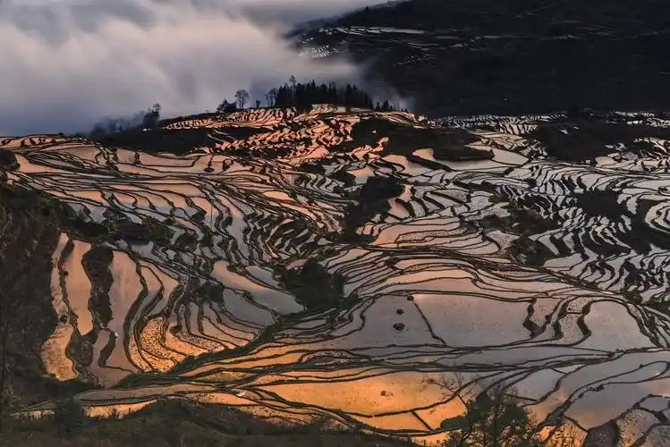 201901元阳多依树梯田告假