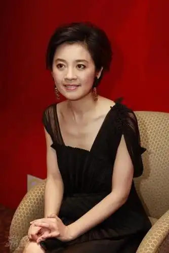 图文华鼎之夜许戈辉知性主播许戈辉