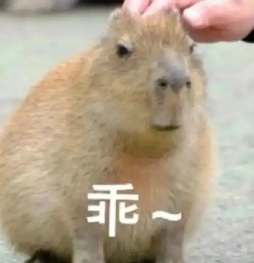 萌宠也搞笑?盘点那些让人笑出声的动物沙雕表情包