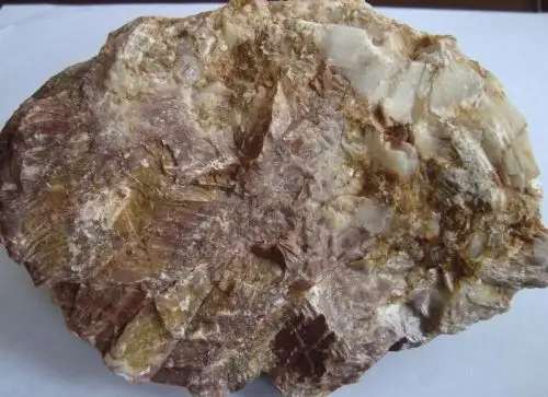 个体经营(刘家波)