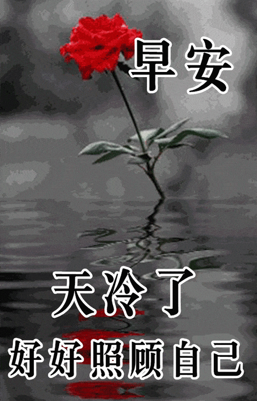 11月19日最漂亮早上好动态表情图片大全早晨好动图美图大全