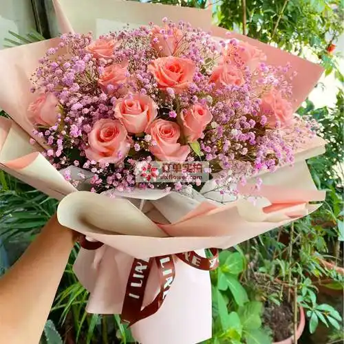 11朵戴安娜粉玫瑰温馨浪漫夜晚