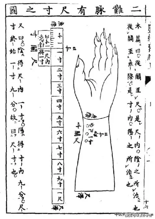 被遗忘的三部九候诊脉法
