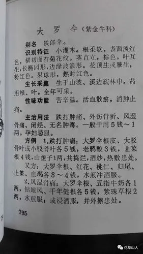 跌打驳骨药大罗伞