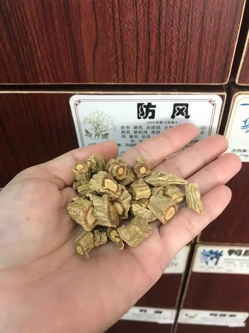 祛风之圣药"防风"在大家的思想里中药都是又苦又臭的其实有些 - 抖音