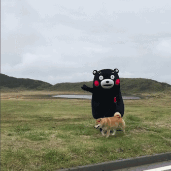 像熊本熊这样的吉祥物甚至成了当地的"救世主",凭一