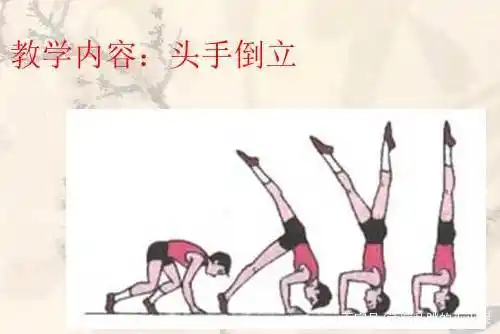 体操头手倒立微课稿/试讲稿