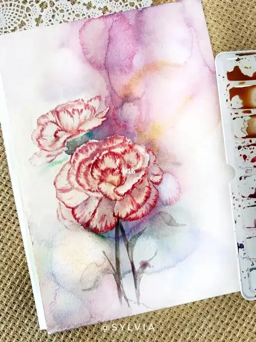 水彩花卉康乃馨