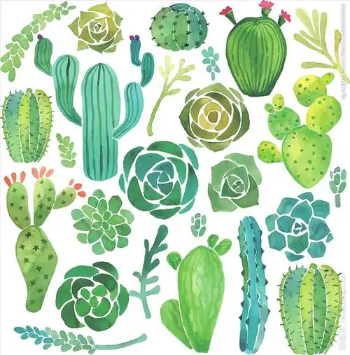 仙人掌多肉植物矢量图下载图片