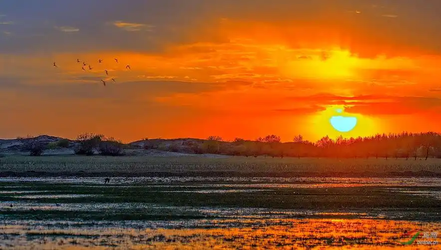 日落西山红霞飞支持帖