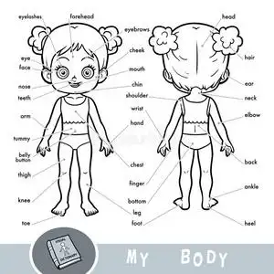 我的身体部为一女孩照片