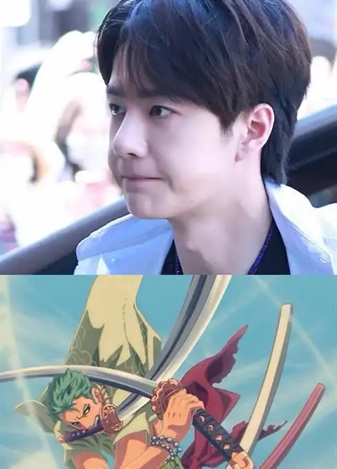 的是王一博,他喜欢的也是《海贼王》里面的人物,那就是大名鼎鼎的索隆