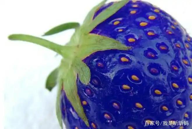 6款诱人的蓝色食物,图5是"浆果之王",很多人吃过,你吃过没?